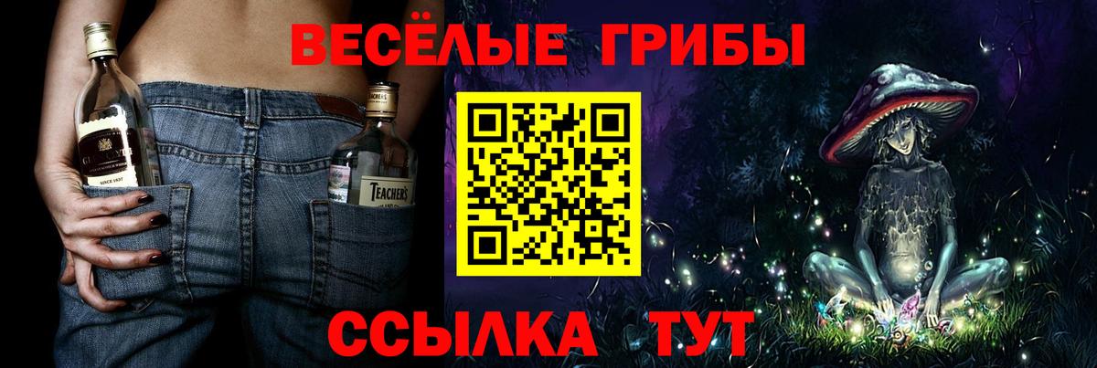Псилоцибиновые грибы MAGIC MUSHROOMS  Вход с VPN  Магадан 